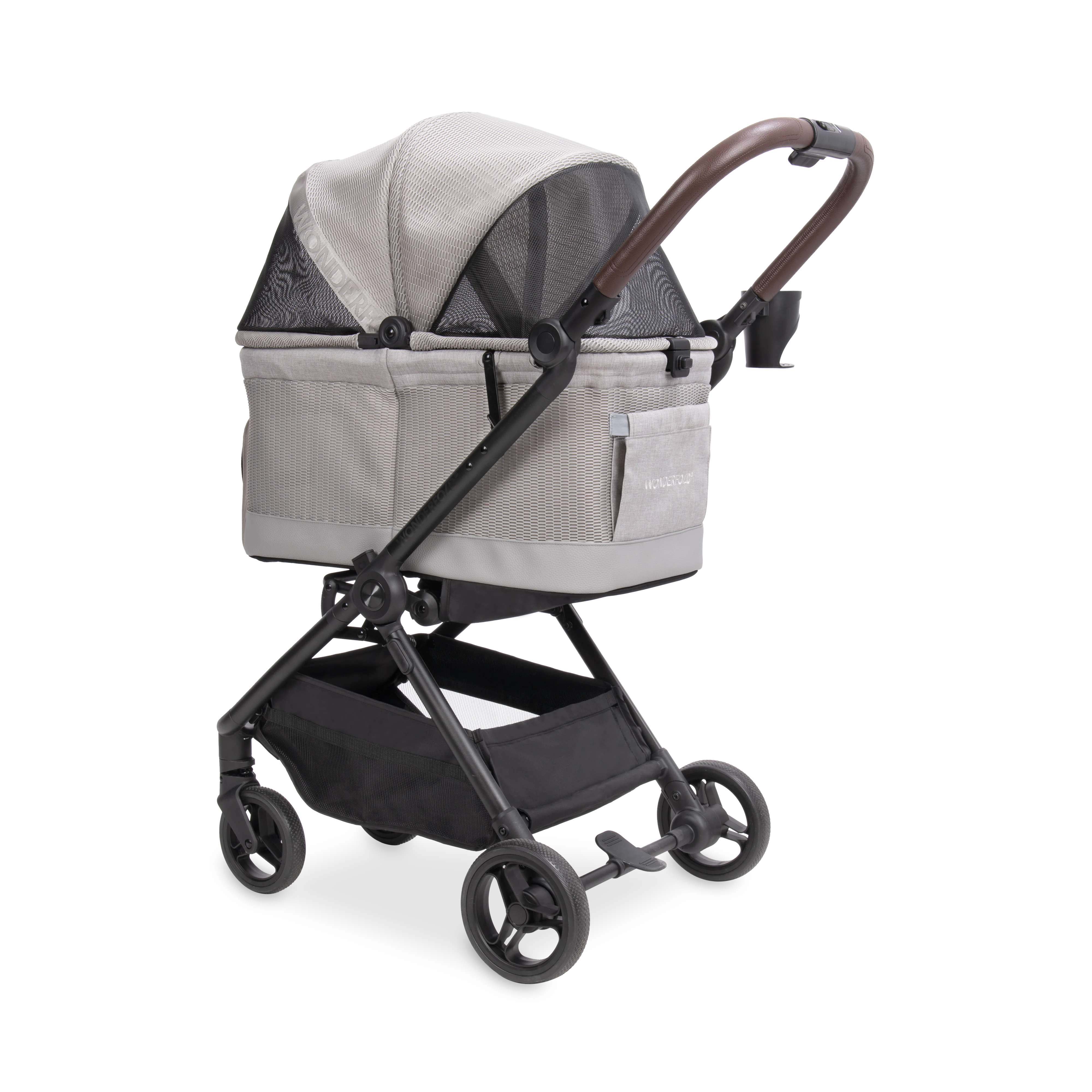 Bella - Image 10
