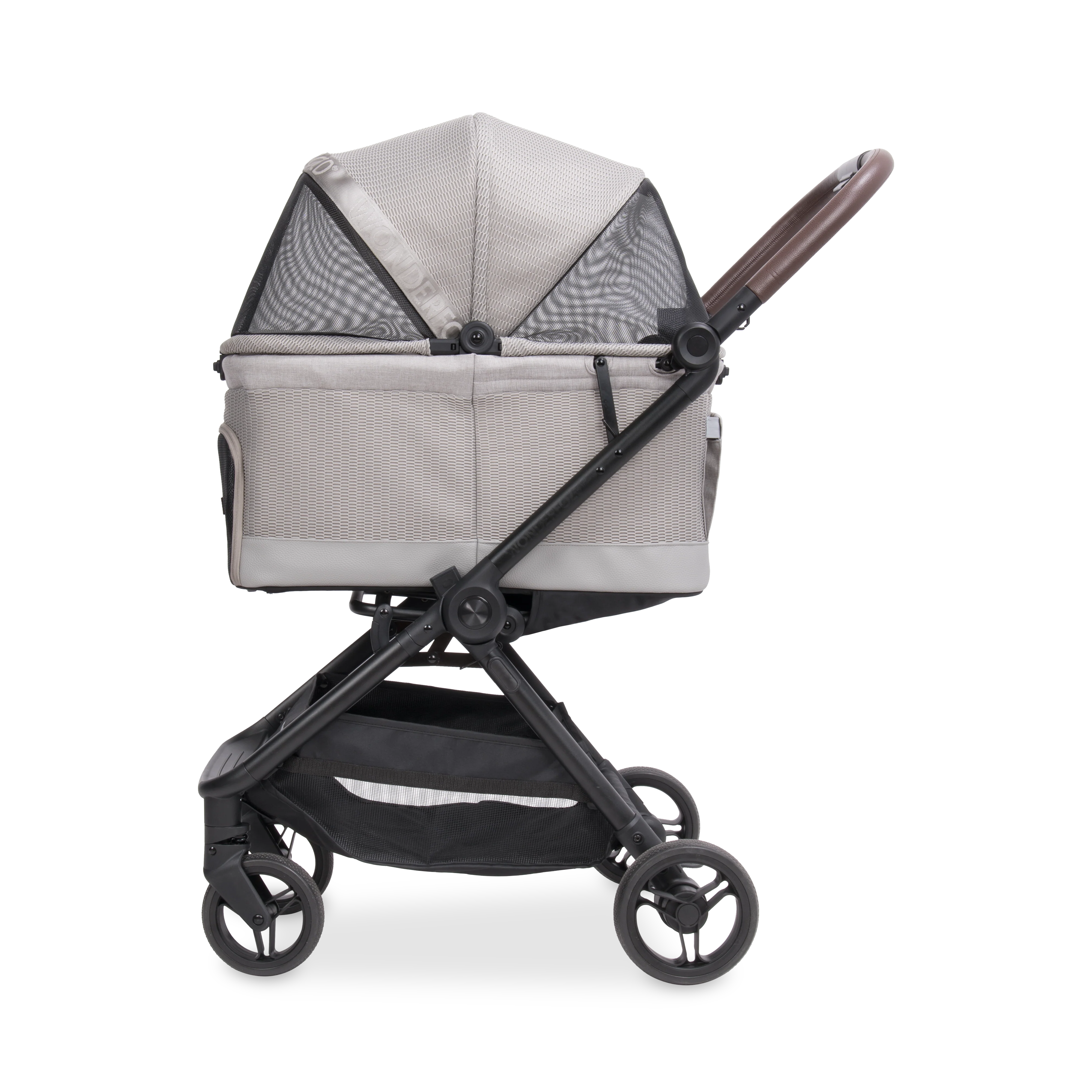 Bella - Image 13