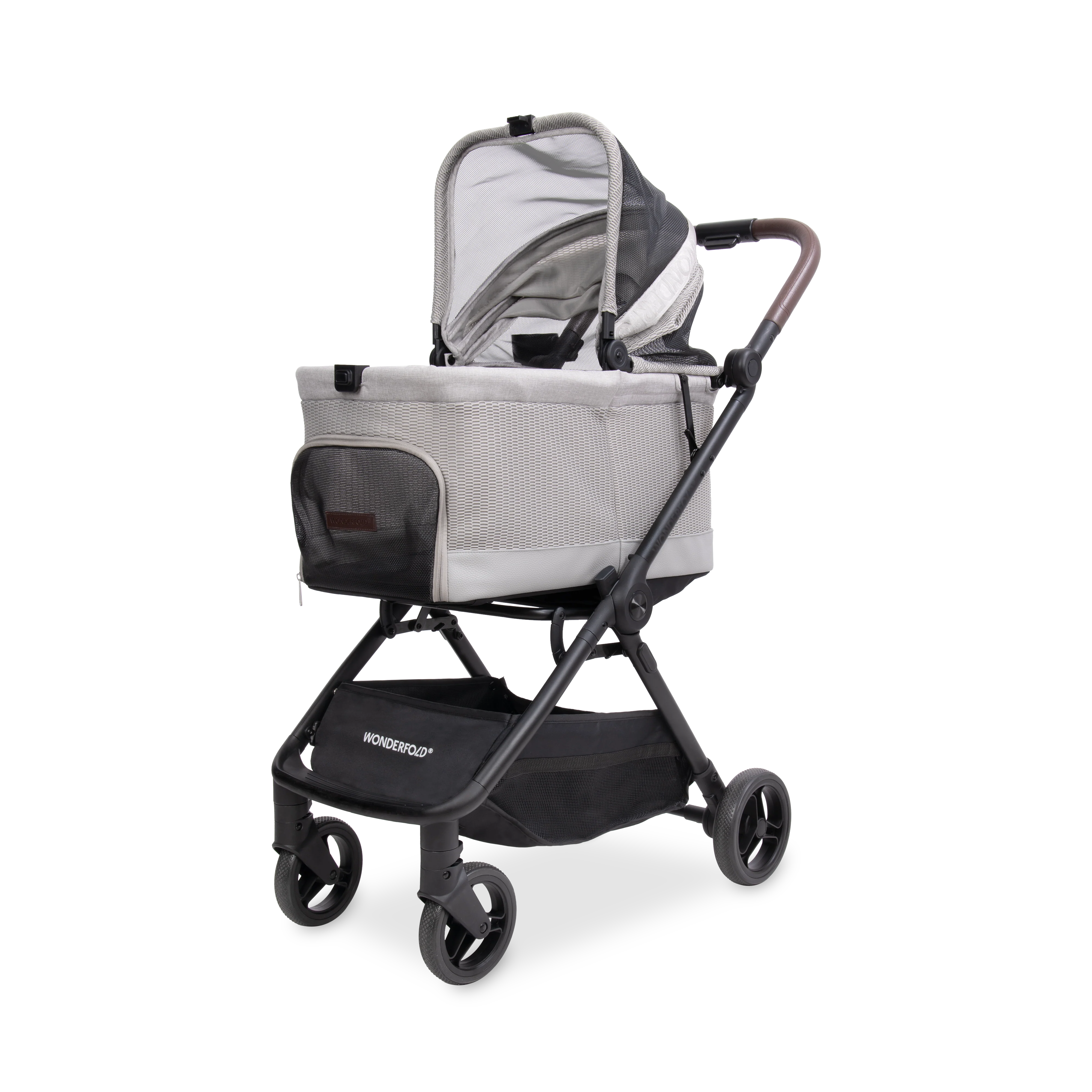 Bella - Image 8